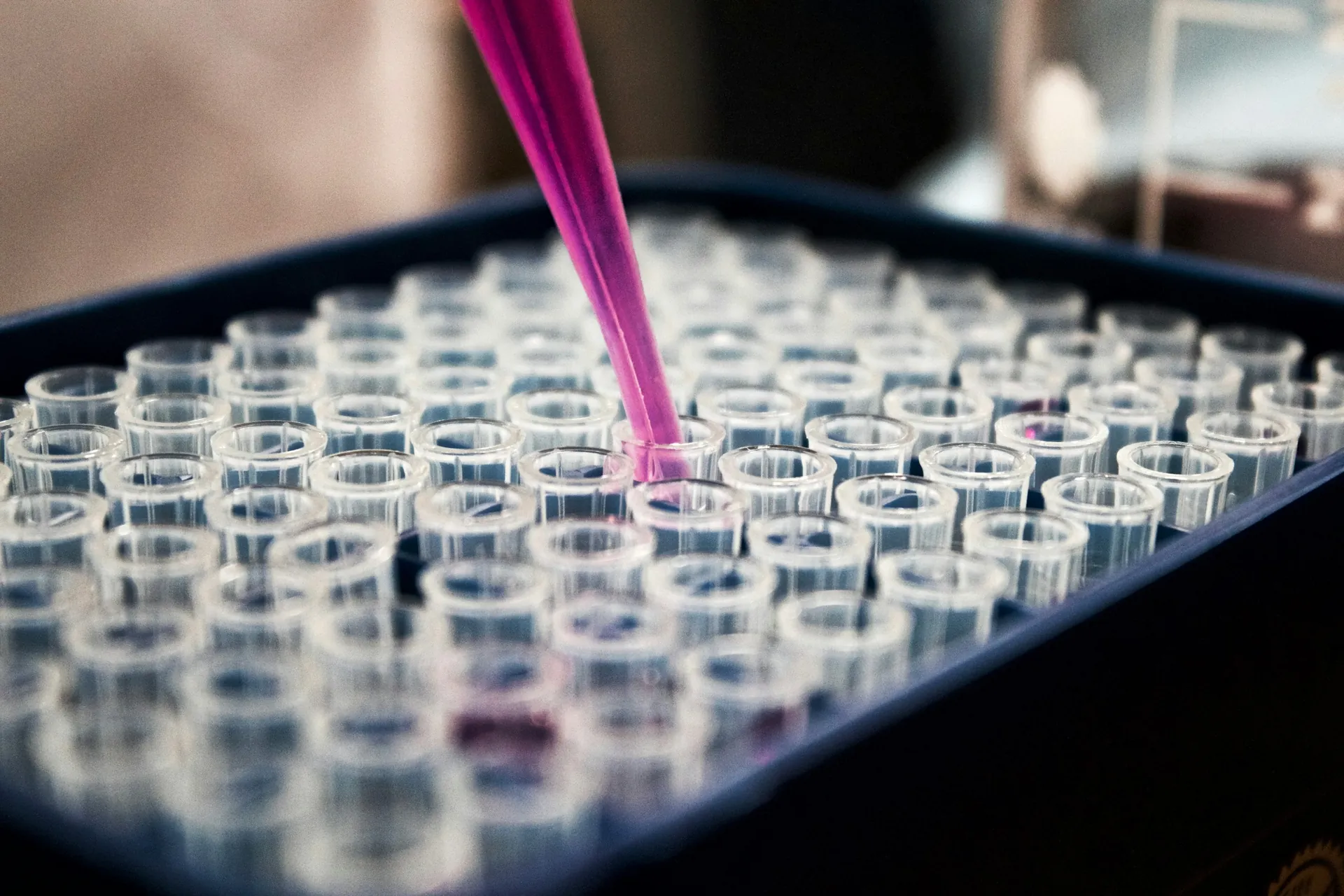 Cellular biology and regenerative medicine